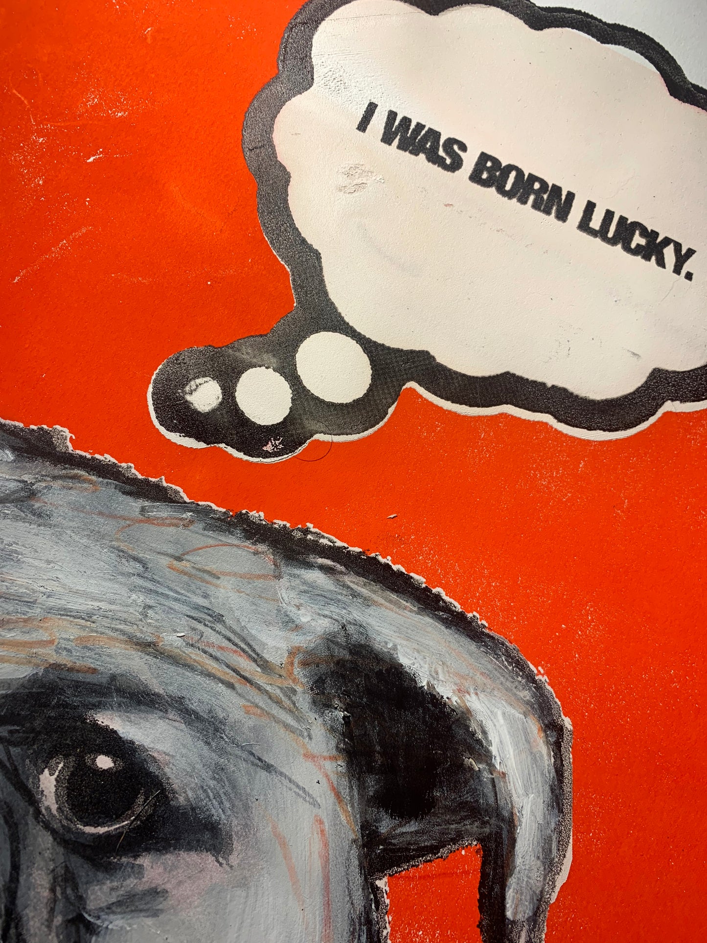 I was born lucky.